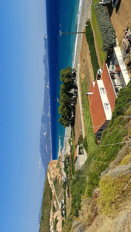 Villa Dimitra Mourteri Eksteriør billede